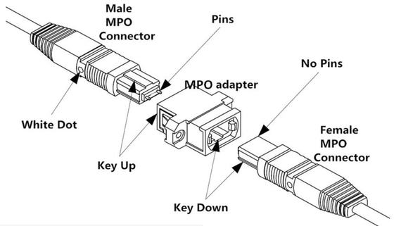 Cabo de remendo Singlemode do medidor MPO da ligação em ponte 32 do único modo do núcleo OS2 do cabo MPO 48 do tronco da fibra de MTP